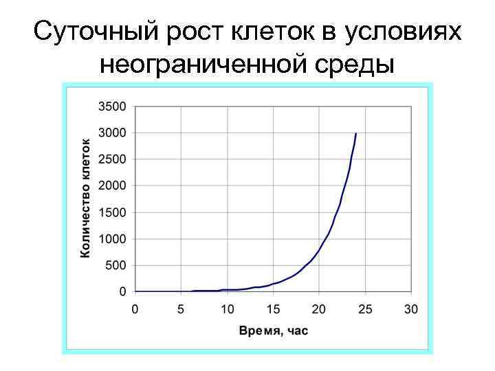 Суточный рост клеток в условиях неограниченной среды 