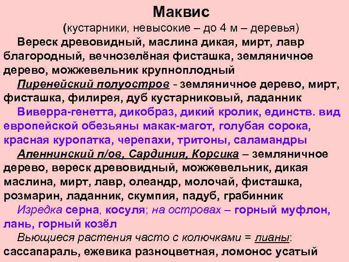 Маквис (кустарники, невысокие – до 4 м – деревья) Вереск древовидный, маслина дикая, мирт,