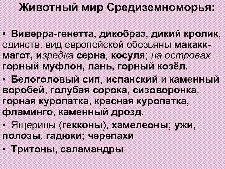 Животный мир Средиземноморья: • Виверра-генетта, дикобраз, дикий кролик, единств. вид европейской обезьяны макаккмагот, изредка