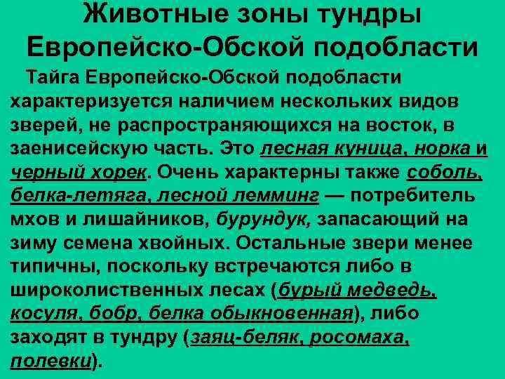 Животные зоны тундры Европейско-Обской подобласти Тайга Европейско-Обской подобласти характеризуется наличием нескольких видов зверей, не