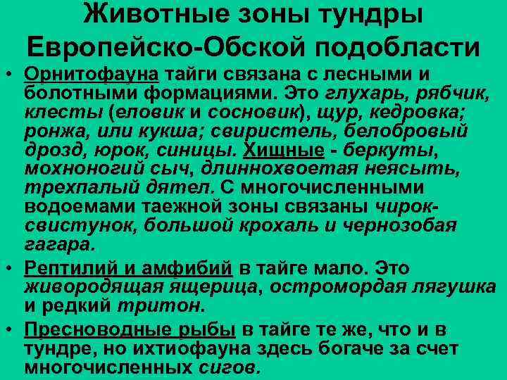 Животные зоны тундры Европейско-Обской подобласти • Орнитофауна тайги связана с лесными и болотными формациями.