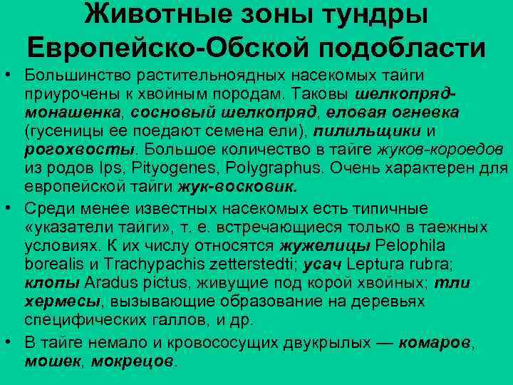 Животные зоны тундры Европейско-Обской подобласти • Большинство растительноядных насекомых тайги приурочены к хвойным породам.