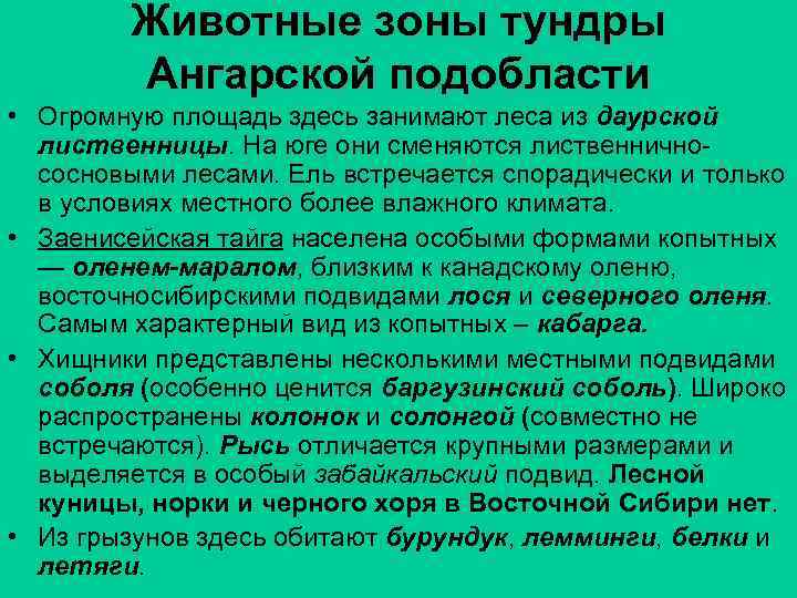 Животные зоны тундры Ангарской подобласти • Огромную площадь здесь занимают леса из даурской лиственницы.