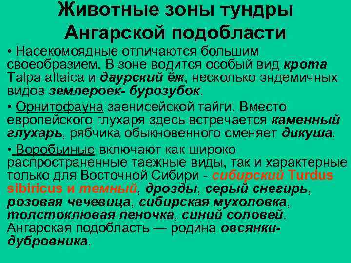 Животные зоны тундры Ангарской подобласти • Насекомоядные отличаются большим своеобразием. В зоне водится особый