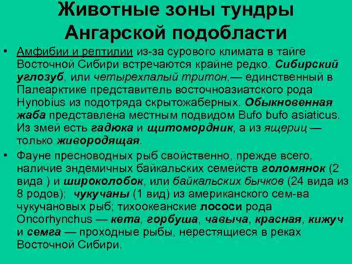 Животные зоны тундры Ангарской подобласти • Амфибии и рептилии из-за сурового климата в тайге