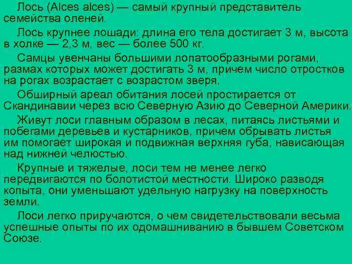 Лось (Alces alces) — самый крупный представитель семейства оленей. Лось крупнее лошади: длина его