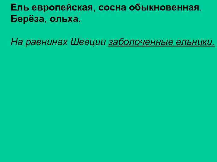 Ель европейская, сосна обыкновенная. Берёза, ольха. На равнинах Швеции заболоченные ельники. 