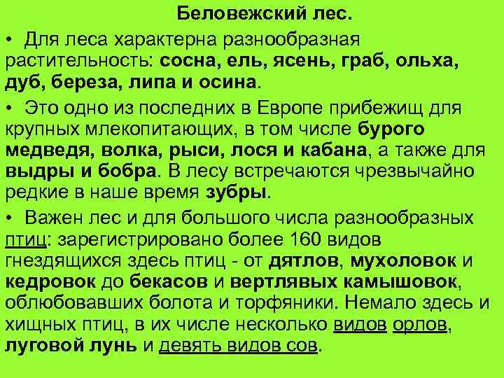 Беловежский лес. • Для леса характерна разнообразная растительность: сосна, ель, ясень, граб, ольха, дуб,