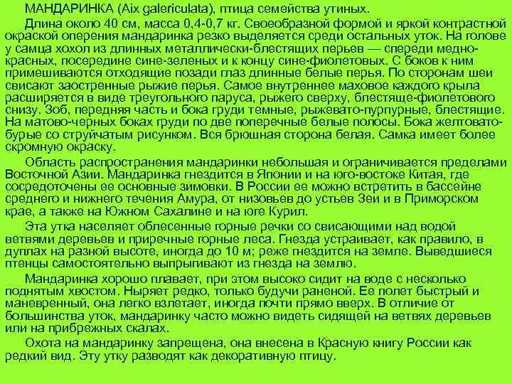 МАНДАРИНКА (Aix galericulata), птица семейства утиных. Длина около 40 см, масса 0, 4 -0,