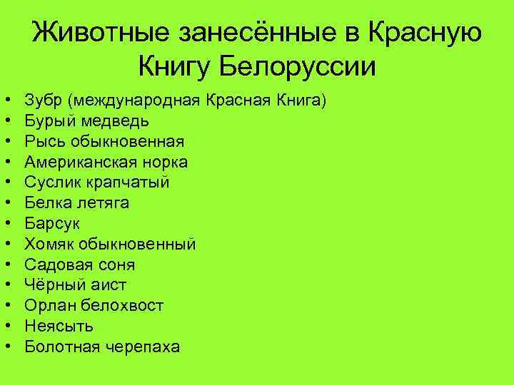 Животные занесённые в Красную Книгу Белоруссии • • • • Зубр (международная Красная Книга)