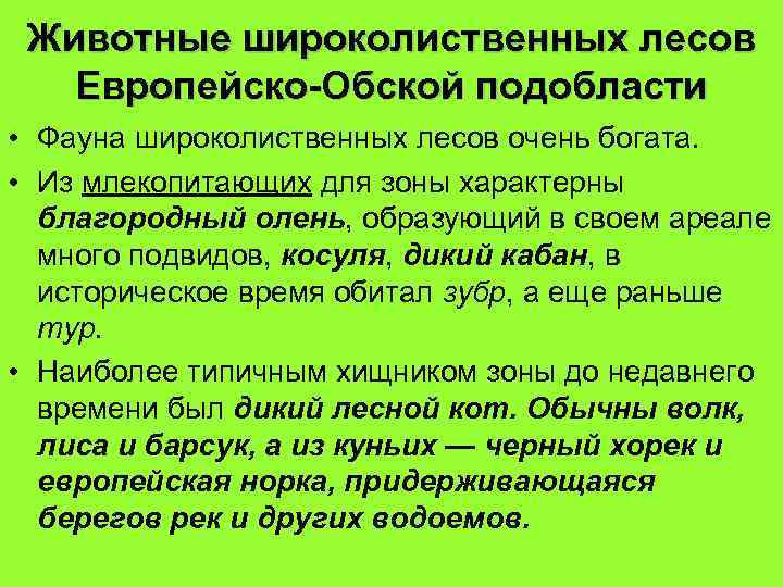 Животные широколиственных лесов Европейско-Обской подобласти • Фауна широколиственных лесов очень богата. • Из млекопитающих