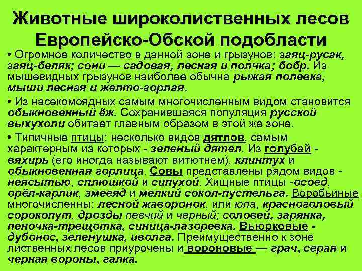 Животные широколиственных лесов Европейско-Обской подобласти • Огромное количество в данной зоне и грызунов: заяц-русак,