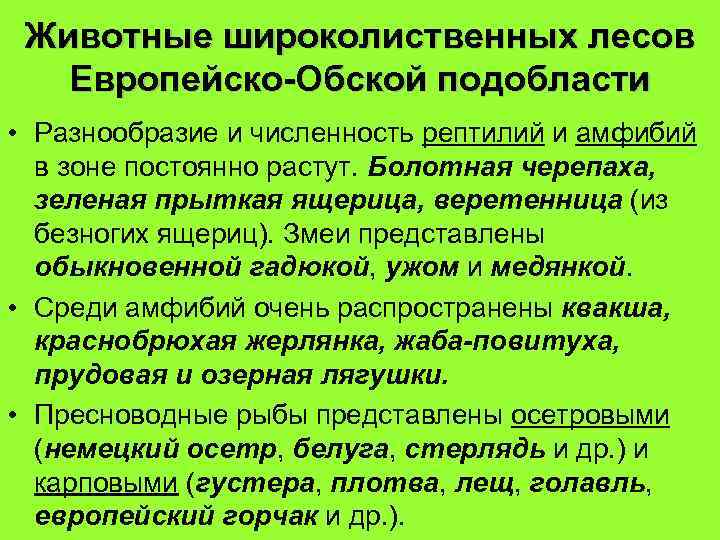Животные широколиственных лесов Европейско-Обской подобласти • Разнообразие и численность рептилий и амфибий в зоне