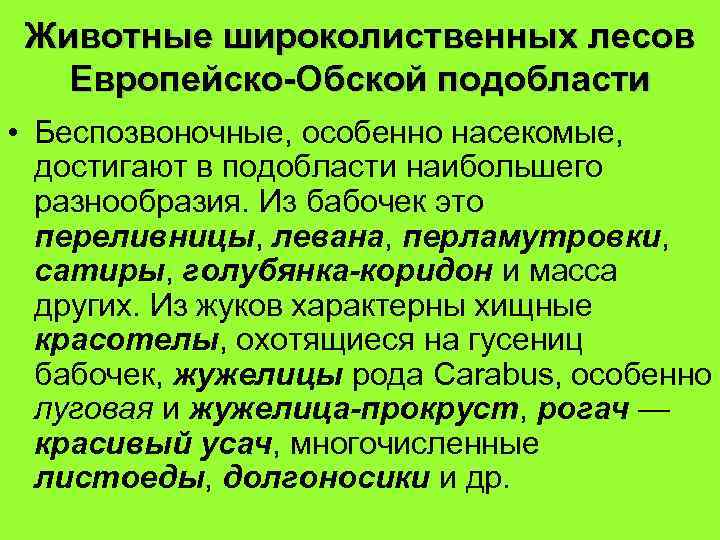 Животные широколиственных лесов Европейско-Обской подобласти • Беспозвоночные, особенно насекомые, достигают в подобласти наибольшего разнообразия.