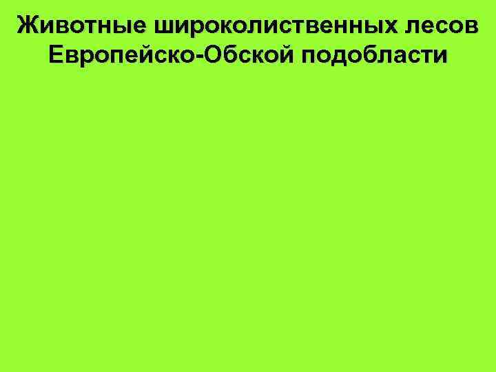 Животные широколиственных лесов Европейско-Обской подобласти 