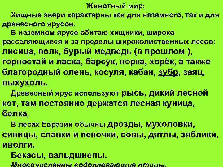 Животный мир: Хищные звери характерны как для наземного, так и для древесного ярусов. В