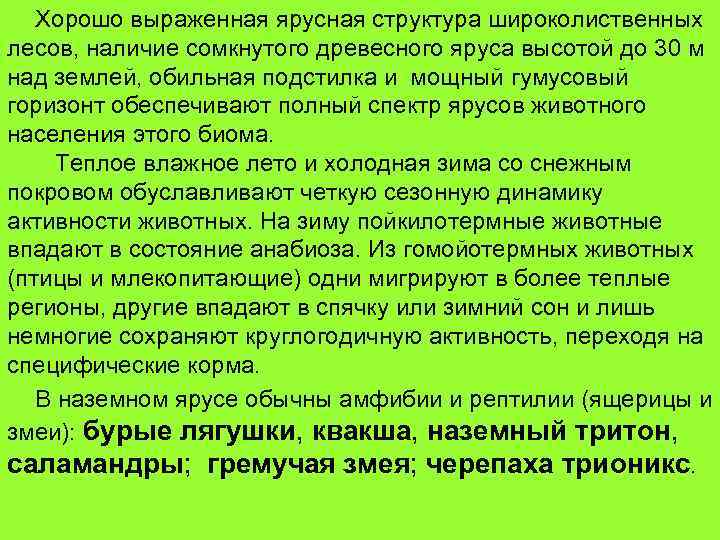 Хорошо выраженная ярусная структура широколиственных лесов, наличие сомкнутого древесного яруса высотой до 30 м