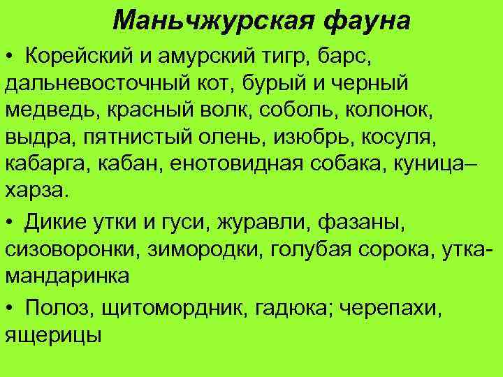 Маньчжурская фауна • Корейский и амурский тигр, барс, дальневосточный кот, бурый и черный медведь,