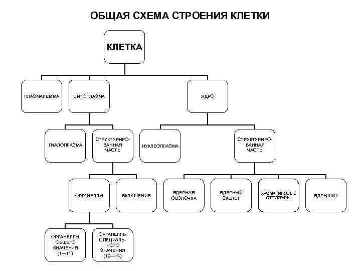 Постоянная структура