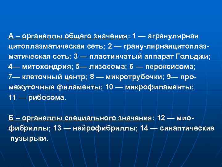А – органеллы общего значения: 1 — агранулярная цитоплазматическая сеть; 2 — грану лярнаяцитоплаз