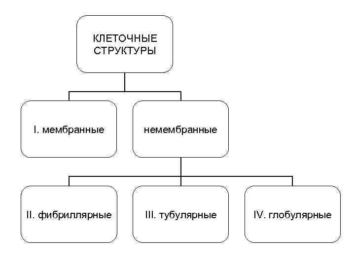 КЛЕТОЧНЫЕ СТРУКТУРЫ I. мембранные немембранные II. фибриллярные III. тубулярные IV. глобулярные 