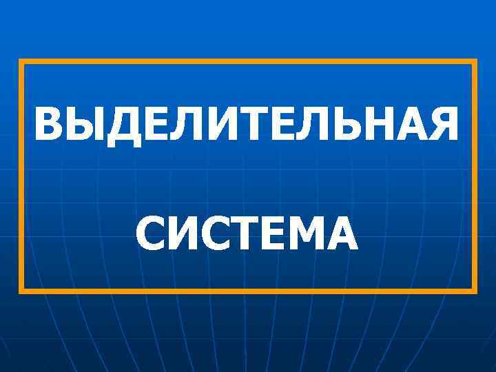 ВЫДЕЛИТЕЛЬНАЯ СИСТЕМА 