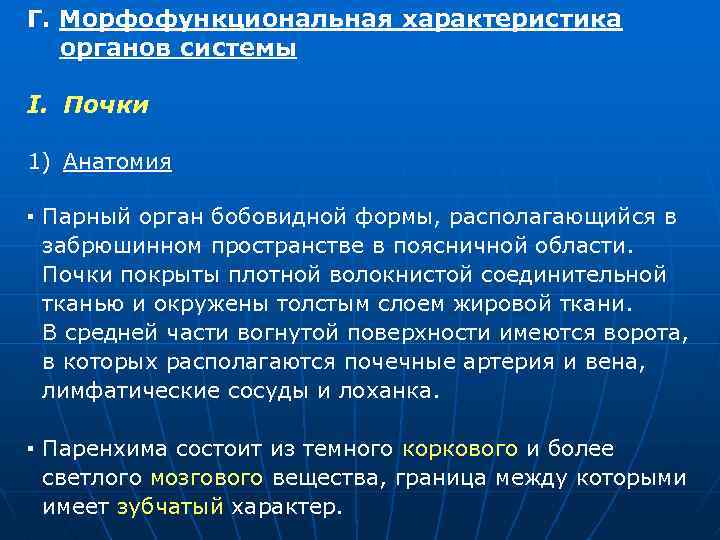 Выберите описание почек парный орган бобовидной формы. Морфофункциональные особенности почек. Характеристика почек. Морфофункциональная характеристика это.