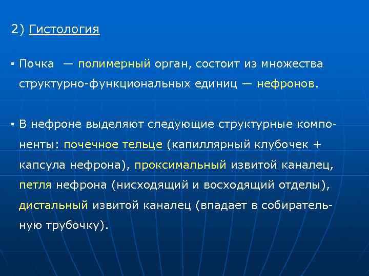 2) Гистология ▪ Почка — полимерный орган, состоит из множества структурно функциональных единиц —