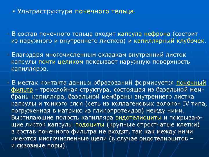 ▪ Ультраструктура почечного тельца В состав почечного тельца входит капсула нефрона (состоит из наружного