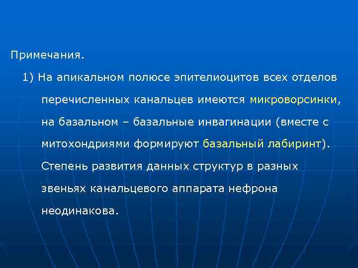 Примечания. 1) На апикальном полюсе эпителиоцитов всех отделов перечисленных канальцев имеются микроворсинки, на базальном
