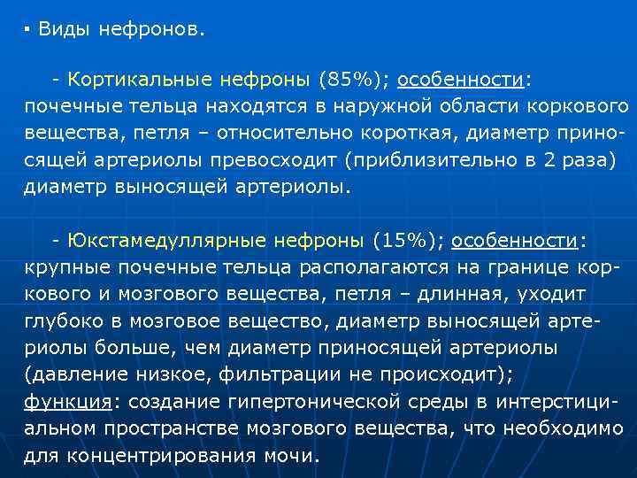 ▪ Виды нефронов. Кортикальные нефроны (85%); особенности: почечные тельца находятся в наружной области коркового