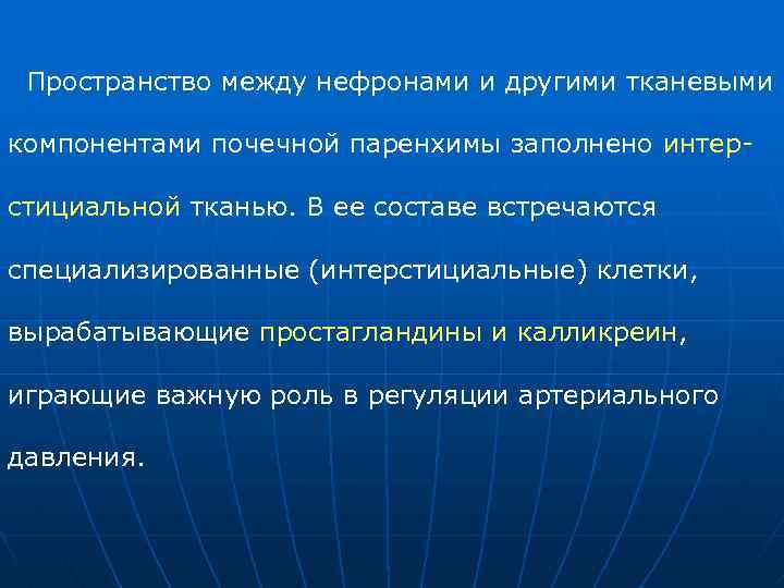 Пространство между нефронами и другими тканевыми компонентами почечной паренхимы заполнено интер стициальной тканью. В