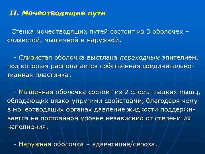 II. Мочеотводящие пути Стенка мочеотводящих путей состоит из 3 оболочек – слизистой, мышечной и
