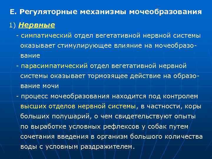 Е. Регуляторные механизмы мочеобразования 1) Нервные симпатический отдел вегетативной нервной системы оказывает стимулирующее влияние