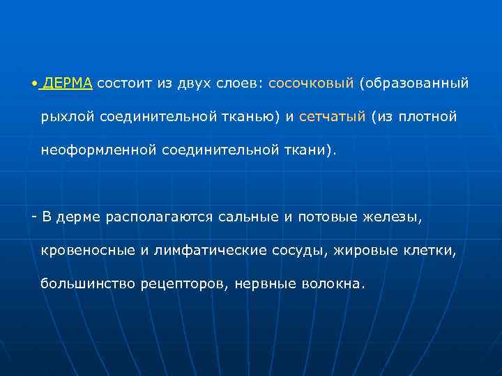  • ДЕРМА состоит из двух слоев: сосочковый (образованный рыхлой соединительной тканью) и сетчатый