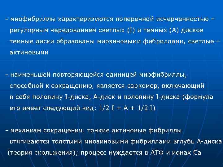 - миофибриллы характеризуются поперечной исчерченностью – регулярным чередованием светлых (I) и темных (A) дисков