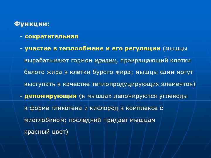 Функции: - сократительная - участие в теплообмене и его регуляции (мышцы вырабатывают гормон иризин,
