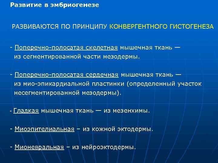 Развитие в эмбриогенезе РАЗВИВАЮТСЯ ПО ПРИНЦИПУ КОНВЕРГЕНТНОГО ГИСТОГЕНЕЗА - Поперечно-полосатая скелетная мышечная ткань —