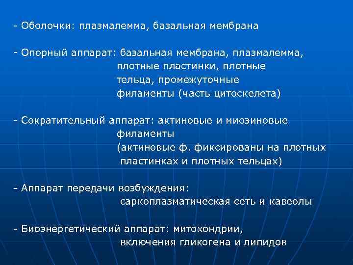 - Оболочки: плазмалемма, базальная мембрана - Опорный аппарат: базальная мембрана, плазмалемма, плотные пластинки, плотные