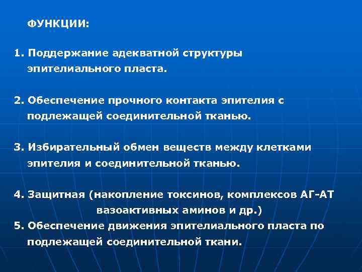 ФУНКЦИИ: 1. Поддержание адекватной структуры эпителиального пласта. 2. Обеспечение прочного контакта эпителия с подлежащей