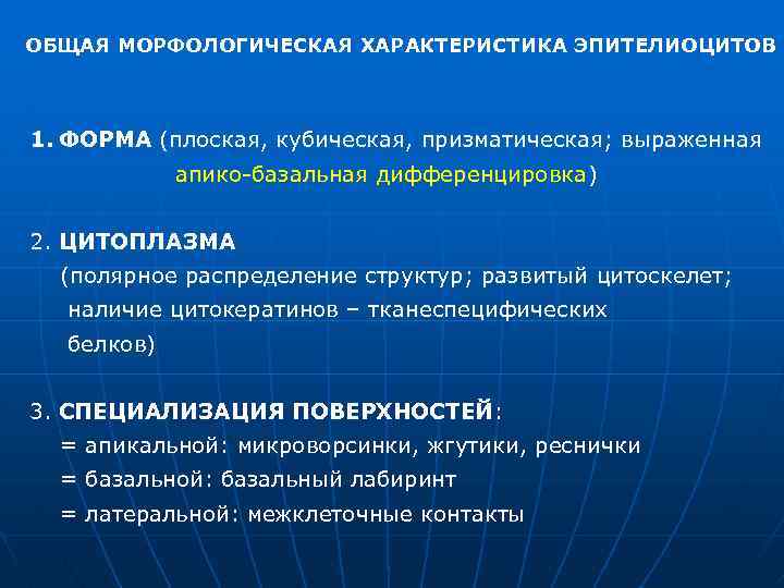 ОБЩАЯ МОРФОЛОГИЧЕСКАЯ ХАРАКТЕРИСТИКА ЭПИТЕЛИОЦИТОВ 1. ФОРМА (плоская, кубическая, призматическая; выраженная апико базальная дифференцировка) 2.