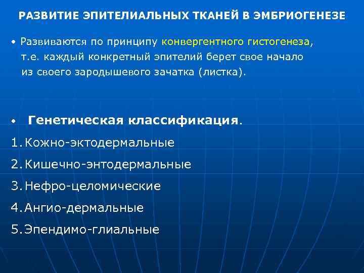 РАЗВИТИЕ ЭПИТЕЛИАЛЬНЫХ ТКАНЕЙ В ЭМБРИОГЕНЕЗЕ • Развиваются по принципу конвергентного гистогенеза, т. е. каждый