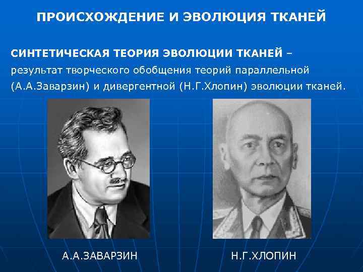 ПРОИСХОЖДЕНИЕ И ЭВОЛЮЦИЯ ТКАНЕЙ СИНТЕТИЧЕСКАЯ ТЕОРИЯ ЭВОЛЮЦИИ ТКАНЕЙ – результат творческого обобщения теорий параллельной