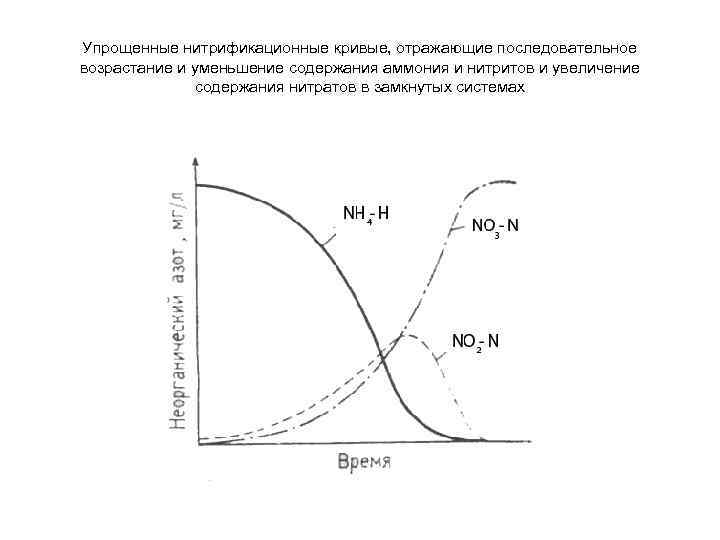 Упрощенные нитрификационные кривые, отражающие последовательное возрастание и уменьшение содержания аммония и нитритов и увеличение