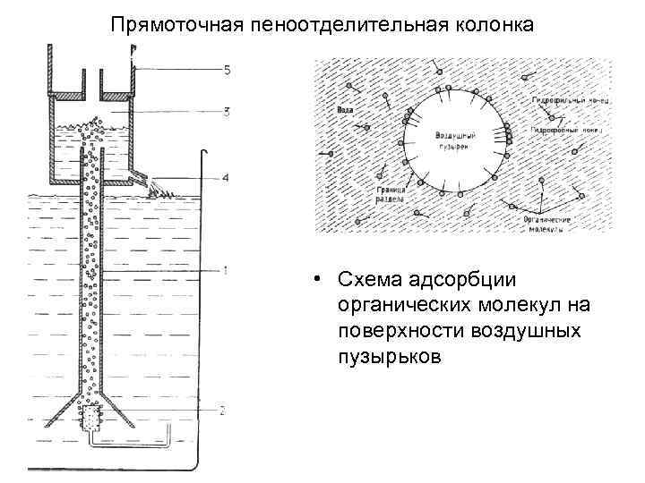 Прямоточная пеноотделительная колонка • Схема адсорбции органических молекул на поверхности воздушных пузырьков 
