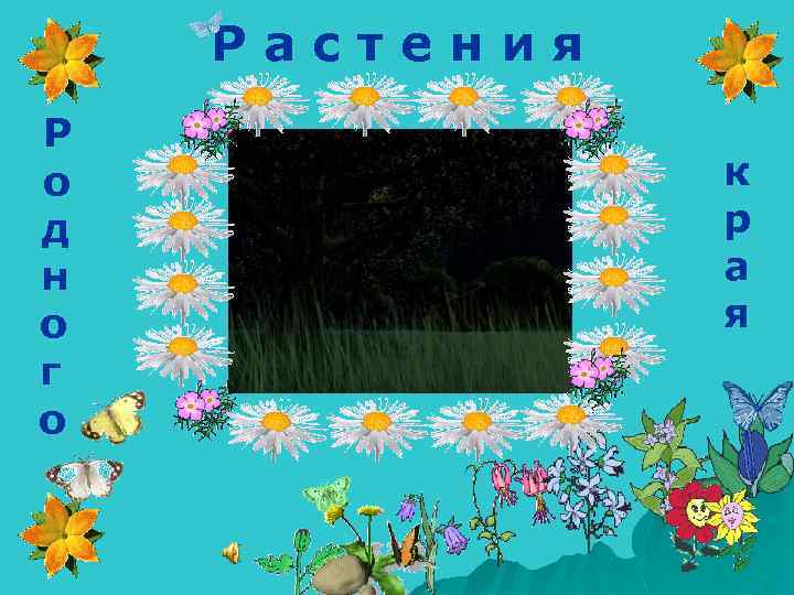 Растения Р о д н о г о к р а я 