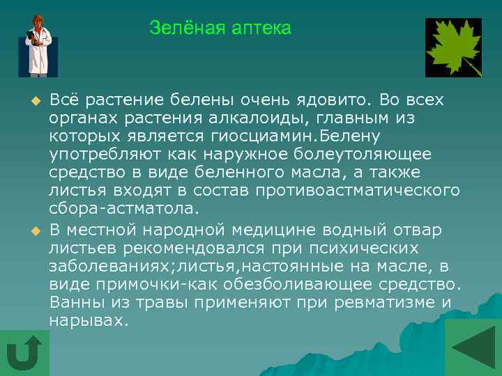 Зелёная аптека u u Всё растение белены очень ядовито. Во всех органах растения алкалоиды,