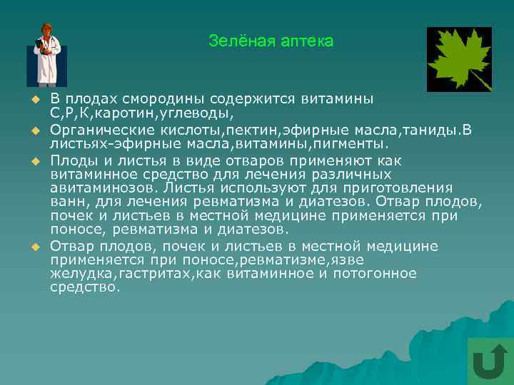 Зелёная аптека u u В плодах смородины содержится витамины С, Р, К, каротин, углеводы,