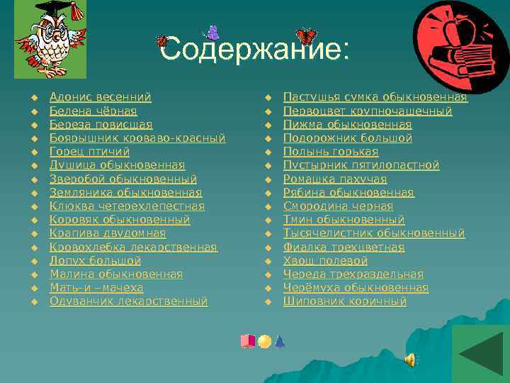 Содержание: u u u u Адонис весенний Белена чёрная Береза повисшая Боярышник кроваво-красный Горец