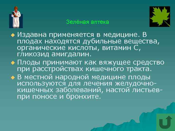 Зелёная аптека Издавна применяется в медицине. В плодах находятся дубильные вещества, органические кислоты, витамин